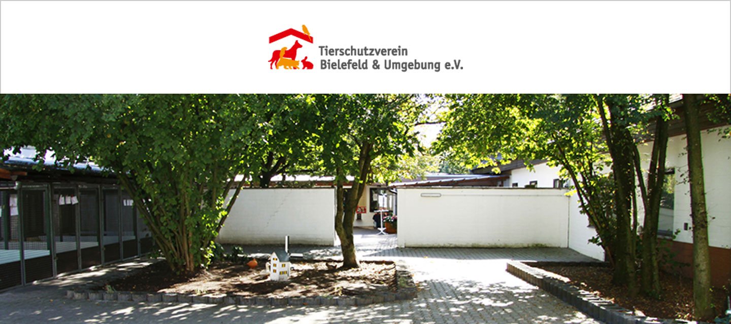 Tierheim des Tierschutzvereins Bielefeld & Umgebung e.V. - 1. Bild Profilseite